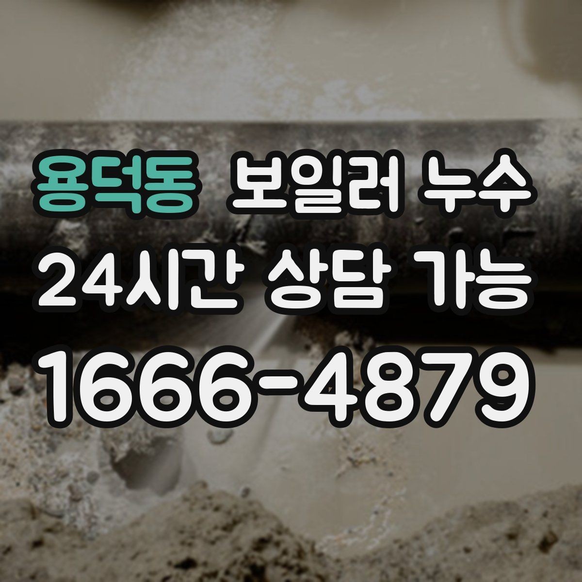 용덕동 보일러 누수 콘센트 주변이 축축할 때 안전 체크