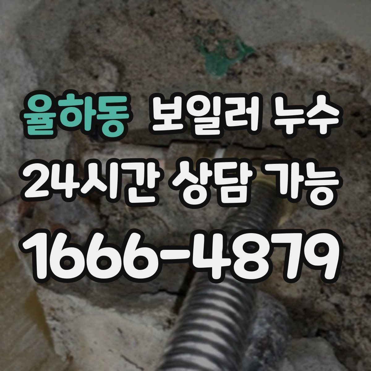 율하동 보일러 누수 다용도실 바닥이 마르지 않는다면