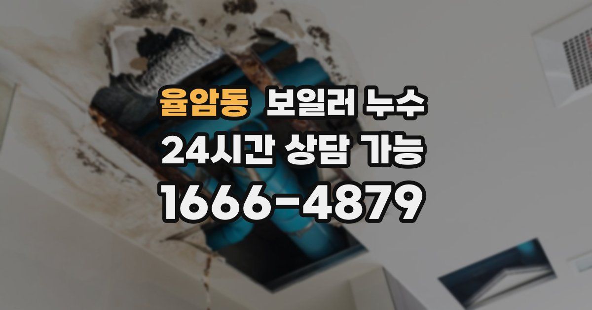 율암동 보일러 누수