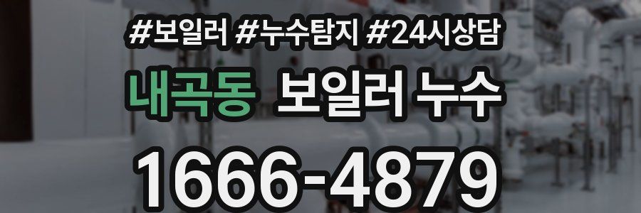 내곡동 누수탐지