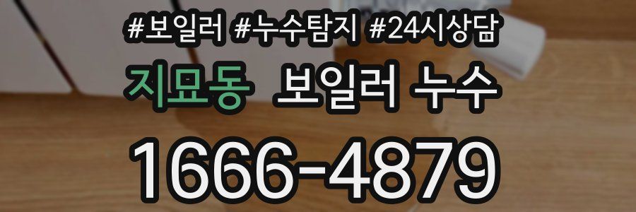 지묘동 누수탐지