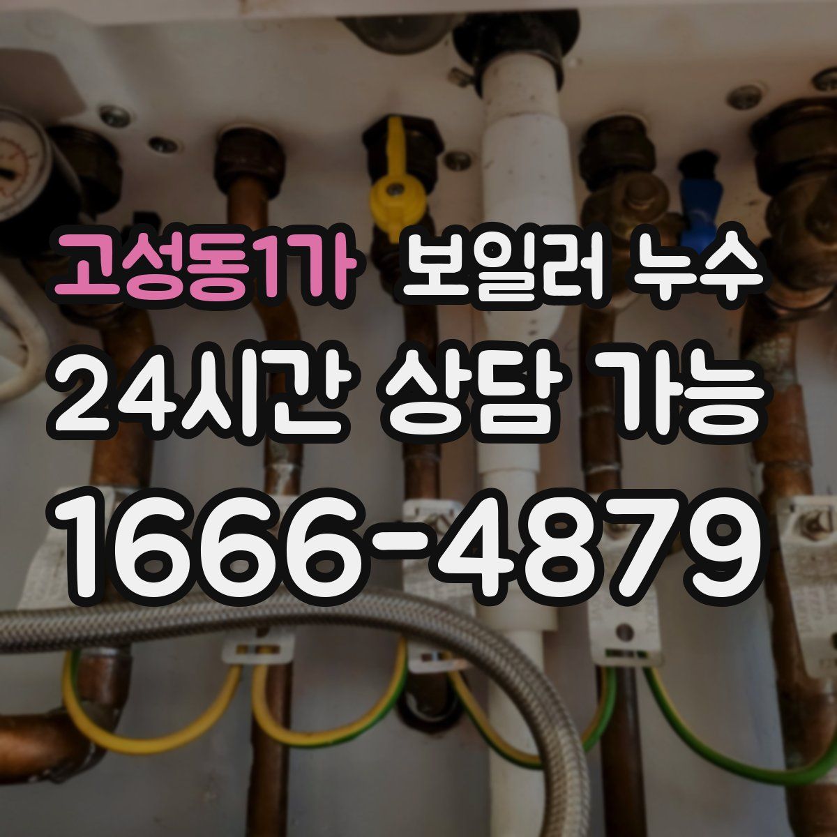 고성동1가 누수