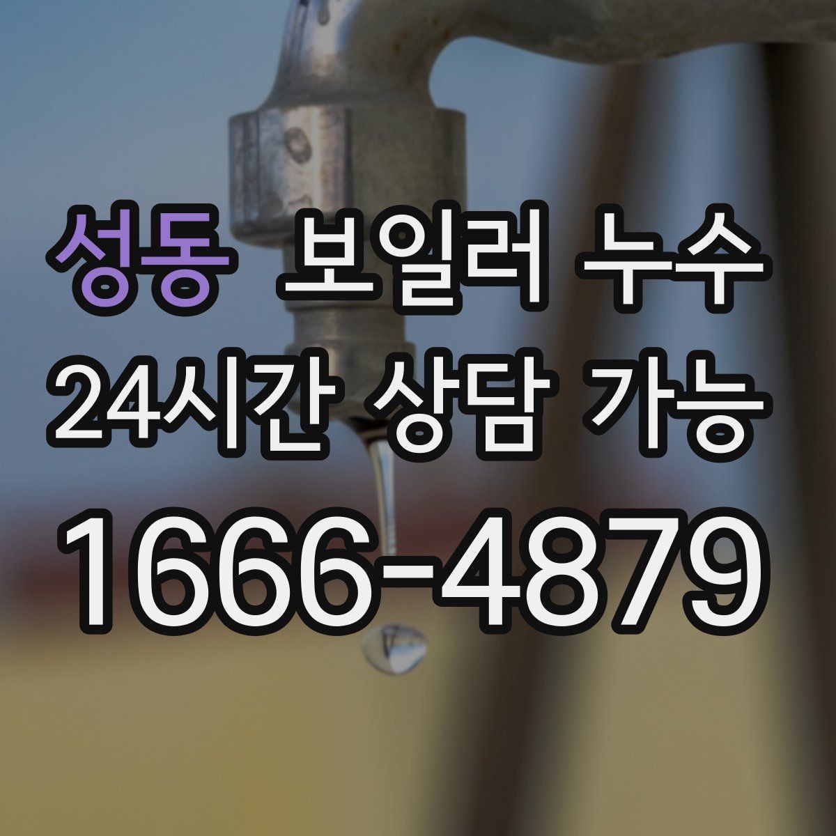 성동 보일러 누수 배관 이음부 젖음이 반복될 때 점검