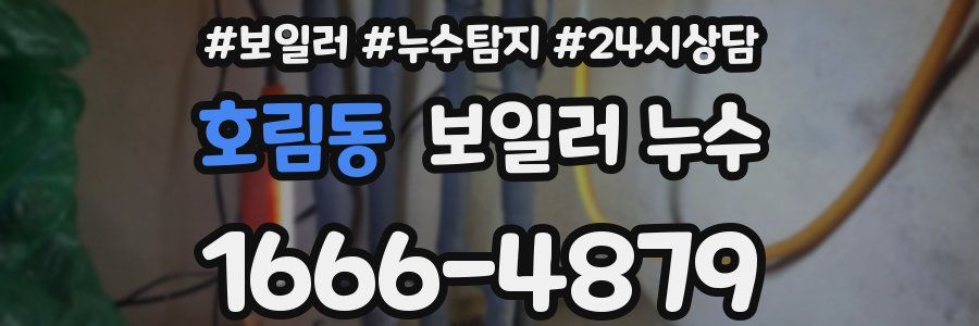 호림동 누수탐지