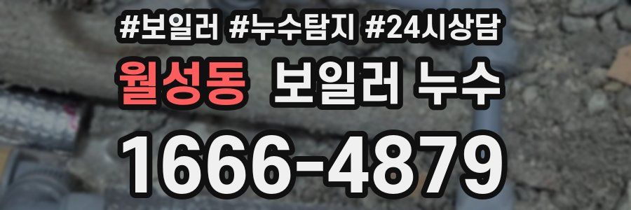 월성동 누수탐지