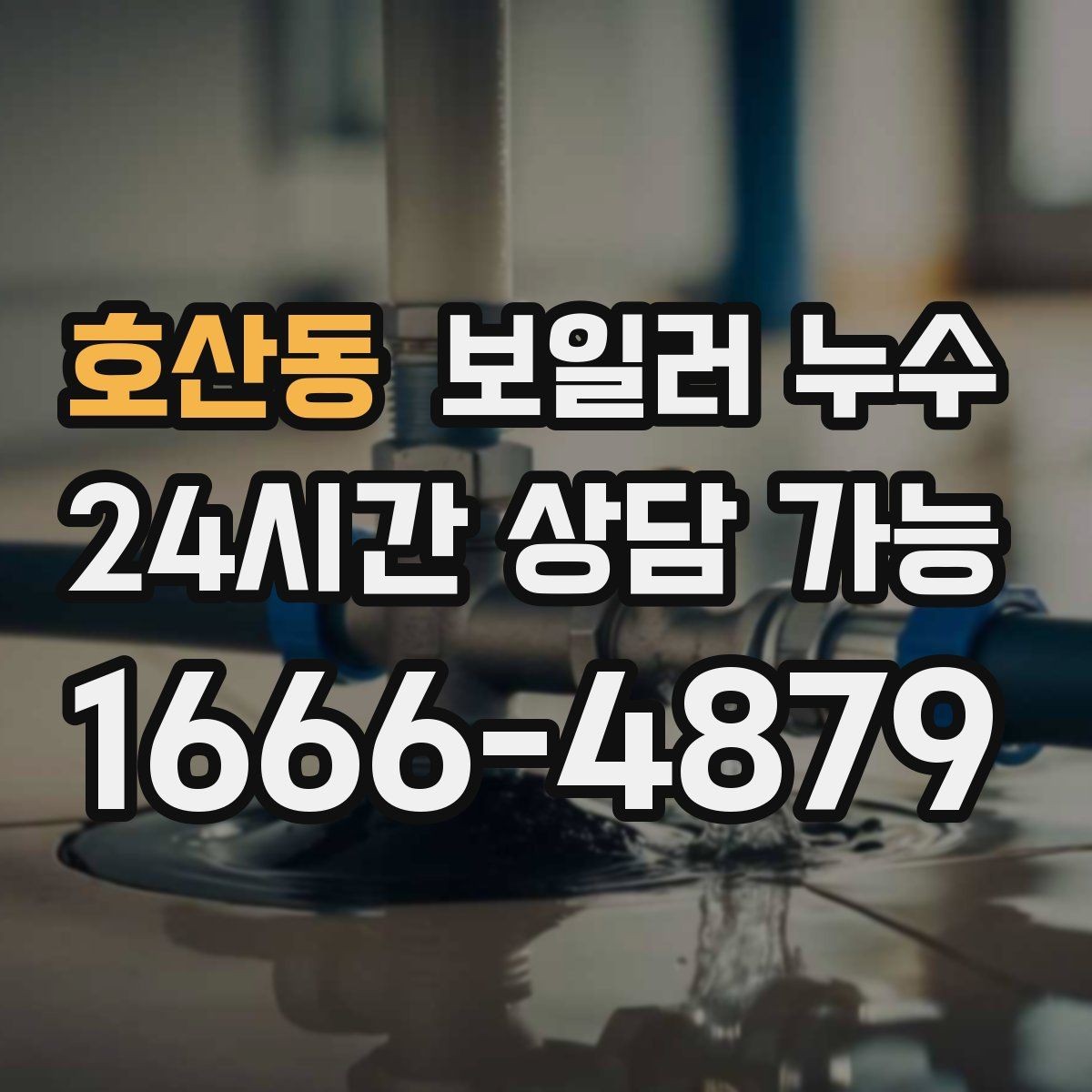 호산동 보일러 누수 오래 비운 집에서 발견됐을 때 점검