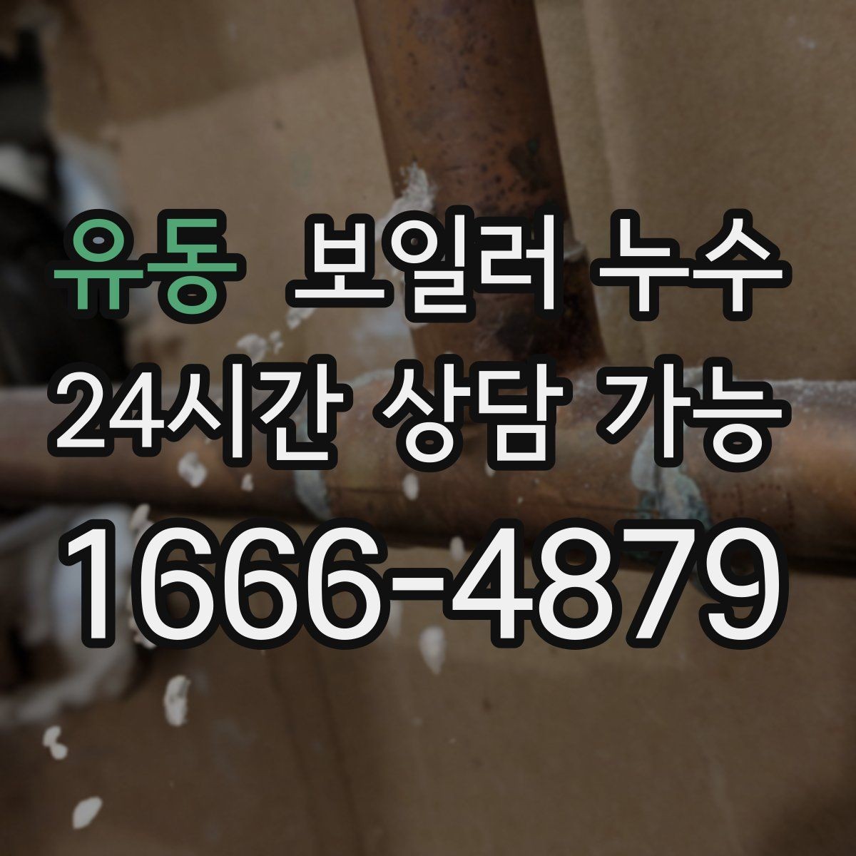 유동 보일러 누수 세탁실 쪽 젖음이 같이 생길 때