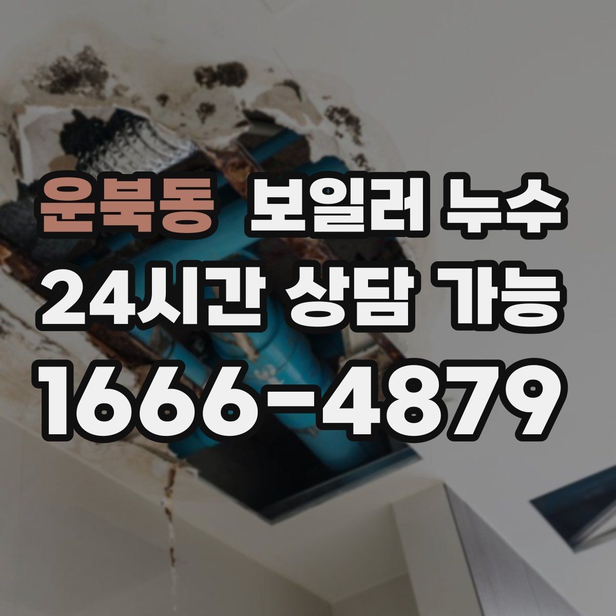 운북동 보일러 누수 보일러실 냄새가 갑자기 진해질 때