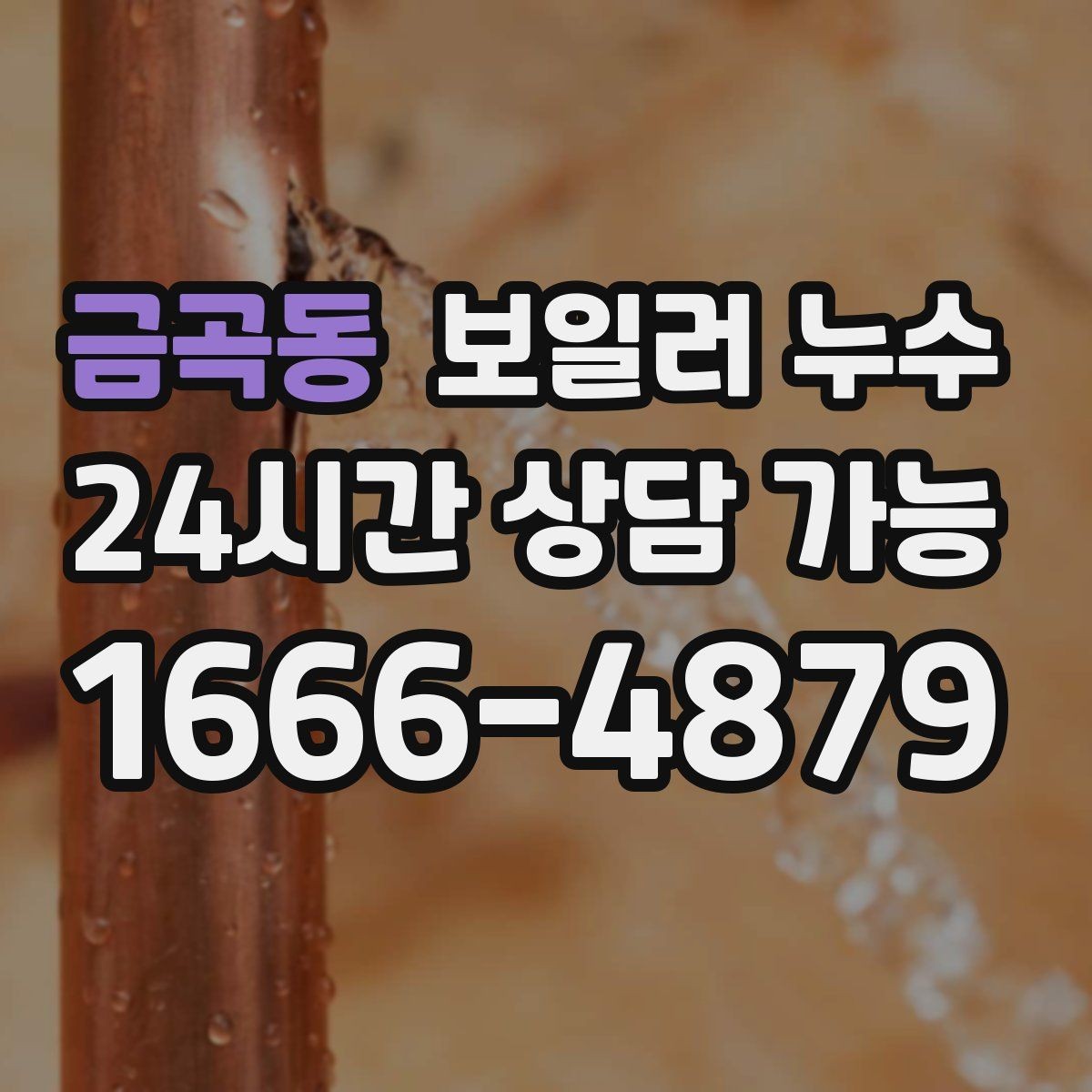 금곡동 보일러 누수 마루 들뜸이 시작되면 점검이 우선