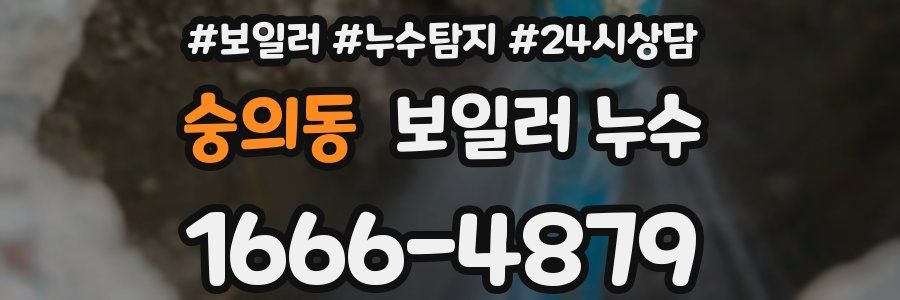 숭의동 누수탐지