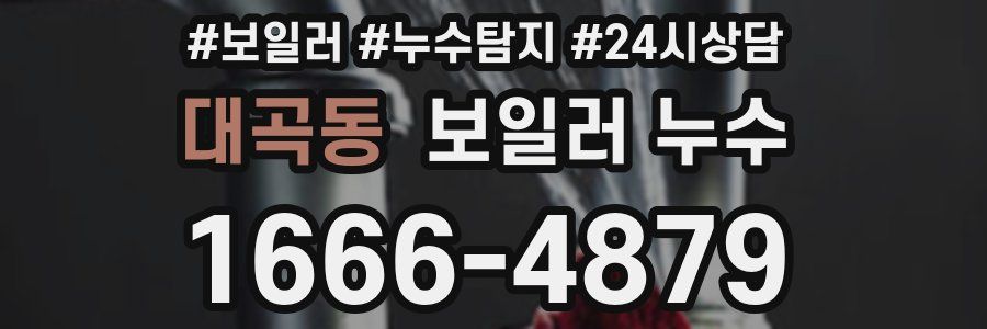 대곡동 누수탐지