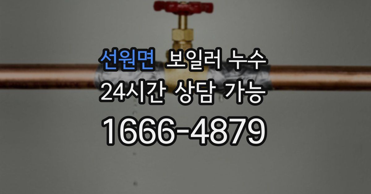 선원면 보일러 누수