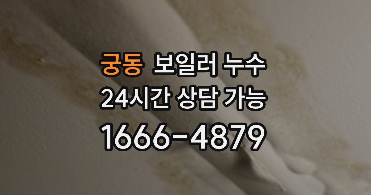 궁동 보일러 누수