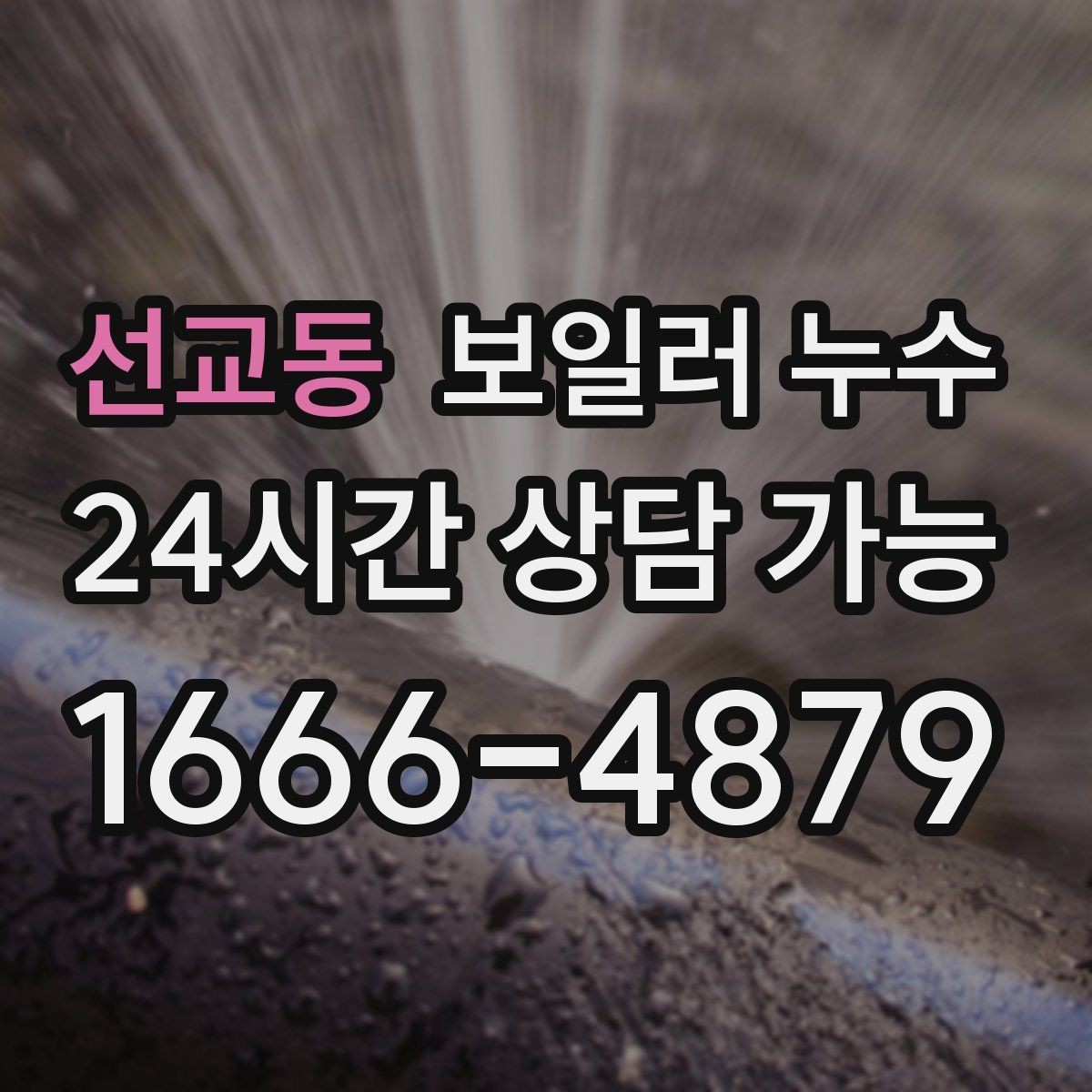 선교동 보일러 누수 오래 비운 집에서 냄새가 날 때