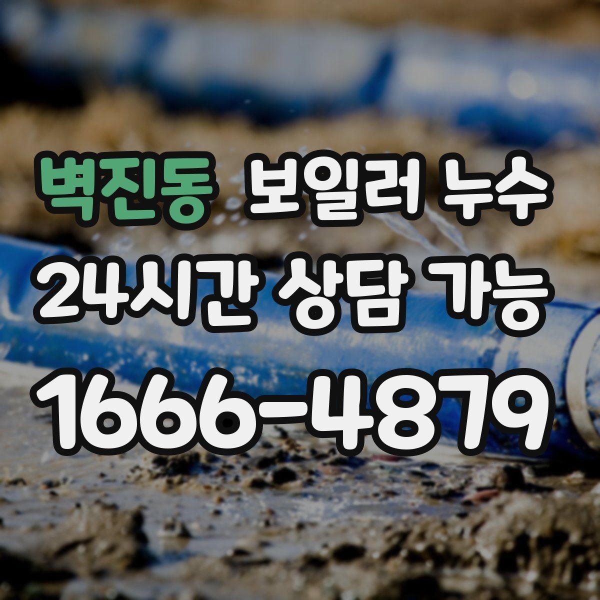 벽진동 보일러 누수 곰팡이가 먼저 늘어나는 경우