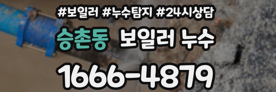 승촌동 누수탐지