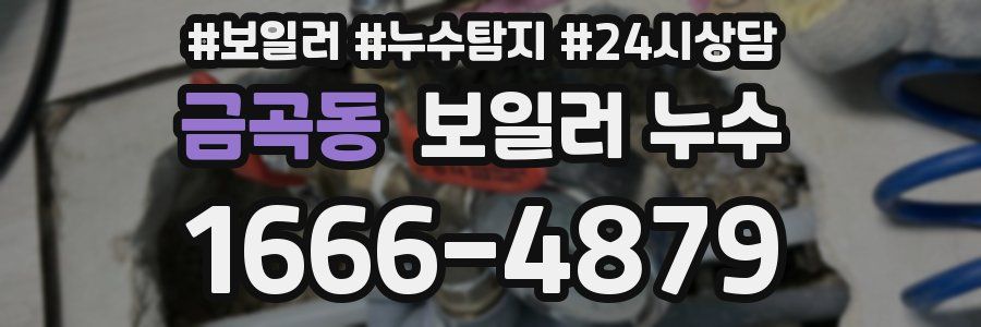 금곡동 누수탐지