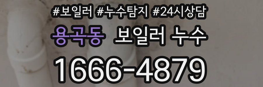 용곡동 누수탐지