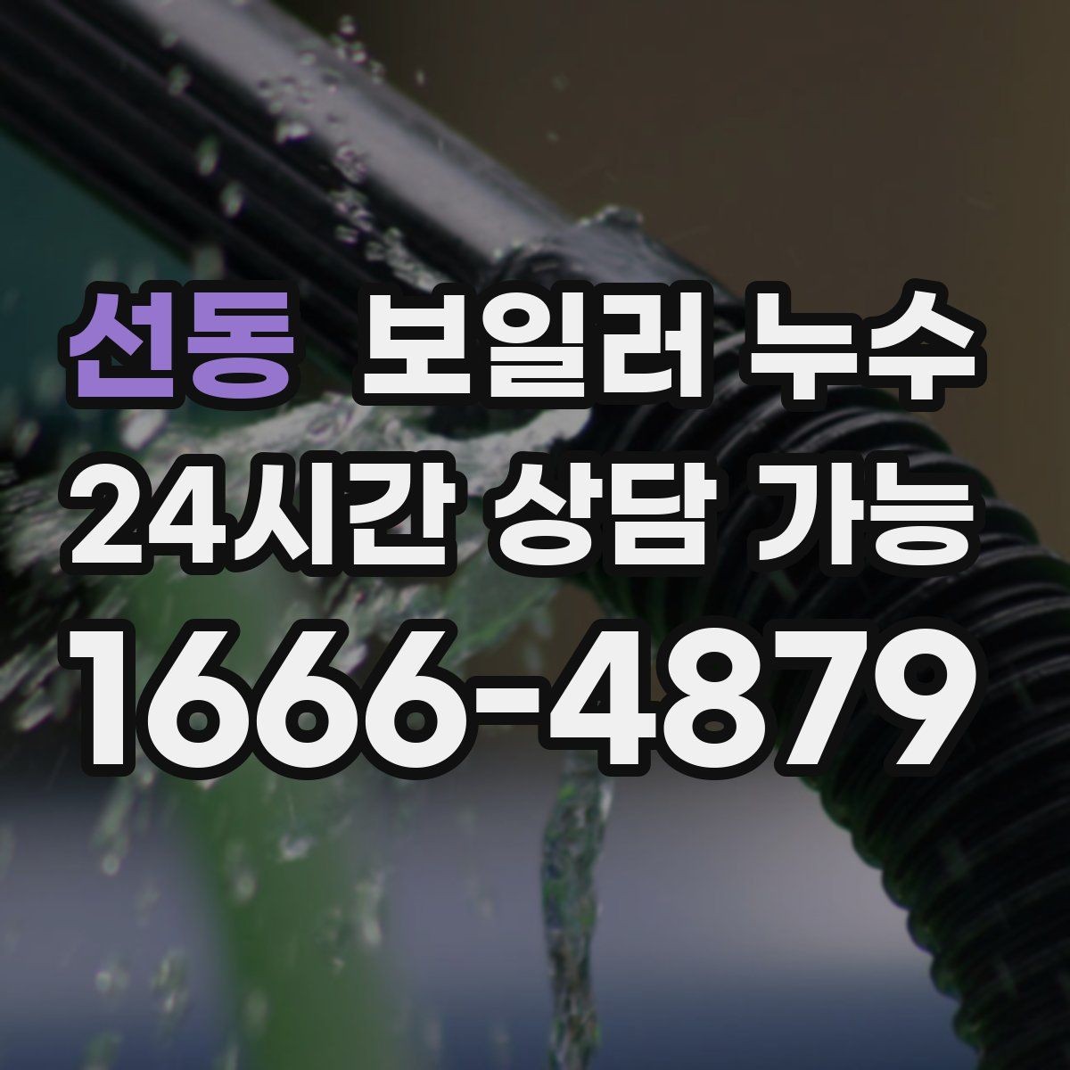 선동 보일러 누수 수납장 뒤 벽이 눅눅할 때 원인 추정