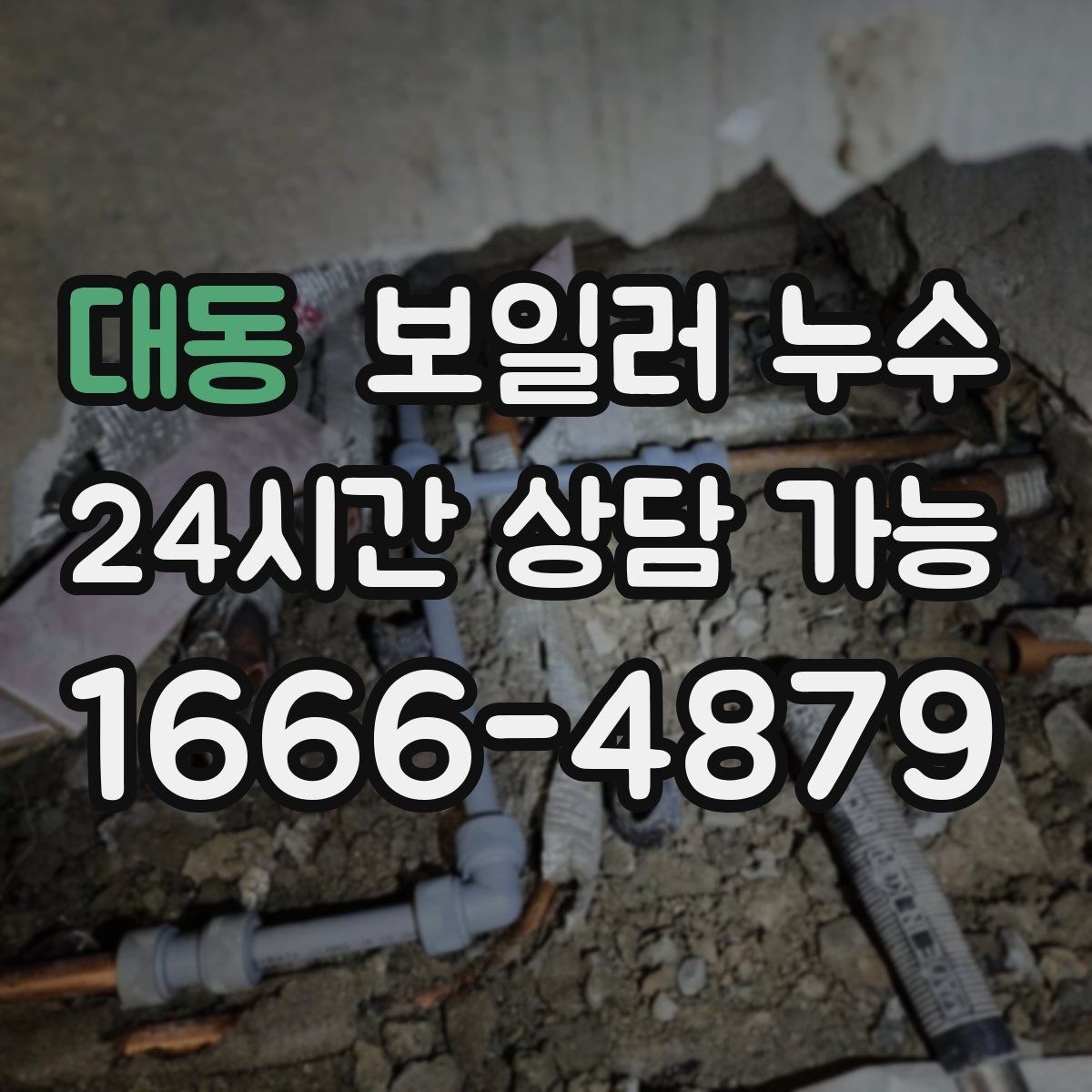 대동 보일러 누수 장판 아래 냄새가 올라올 때 점검