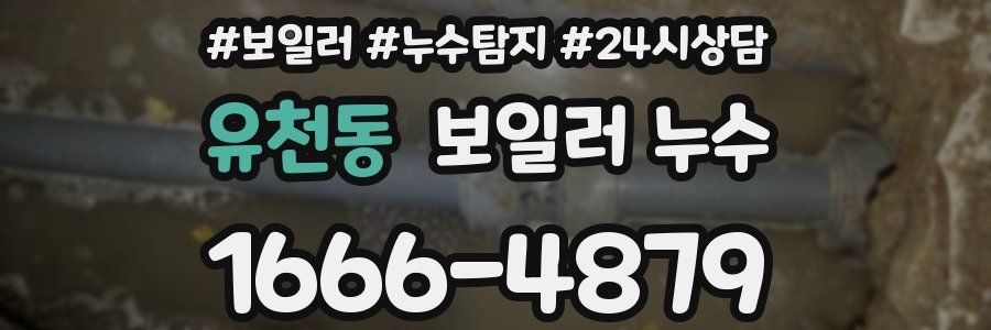 유천동 누수탐지