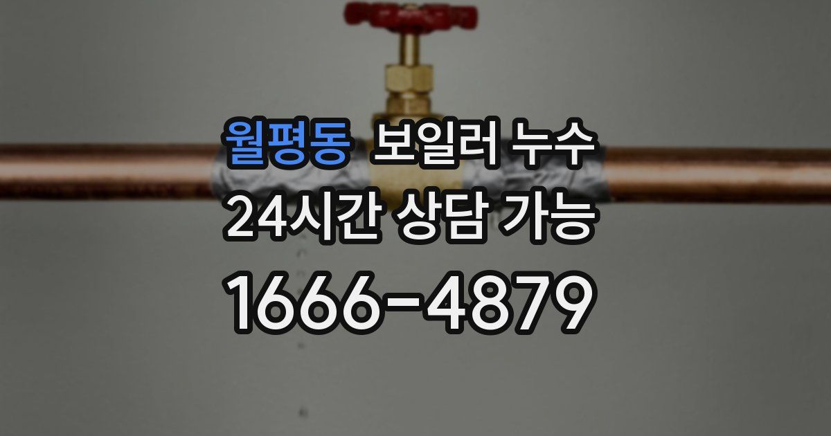 월평동 보일러 누수
