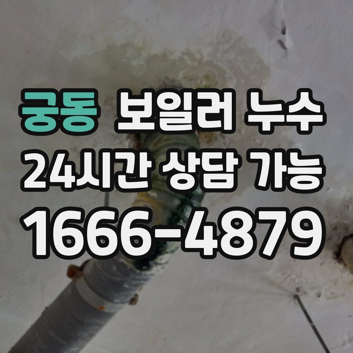 궁동 보일러 누수 원인 확인 후 조치 순서 이렇게 잡으세요