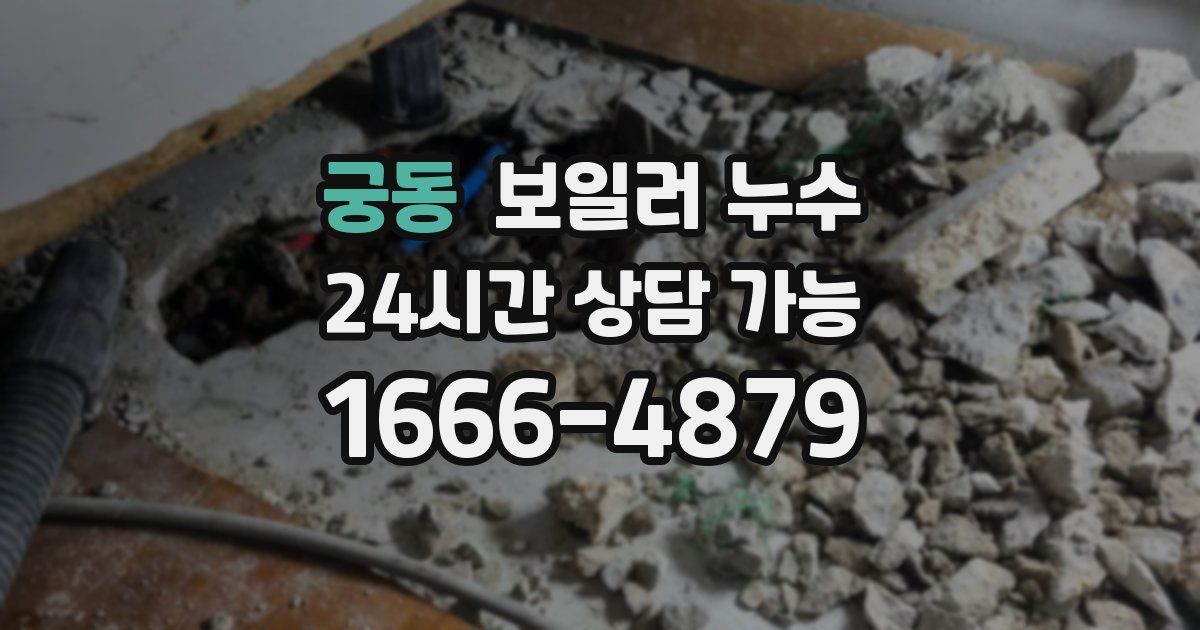 궁동 보일러 누수