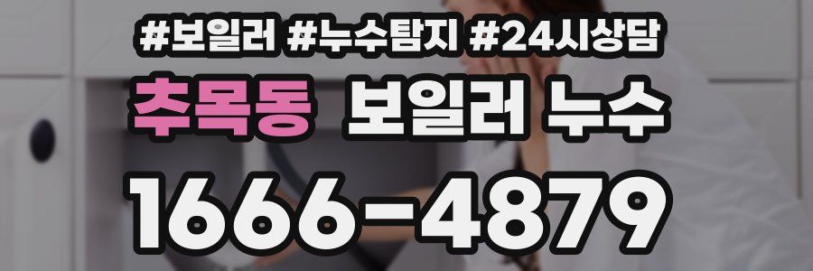 추목동 누수탐지