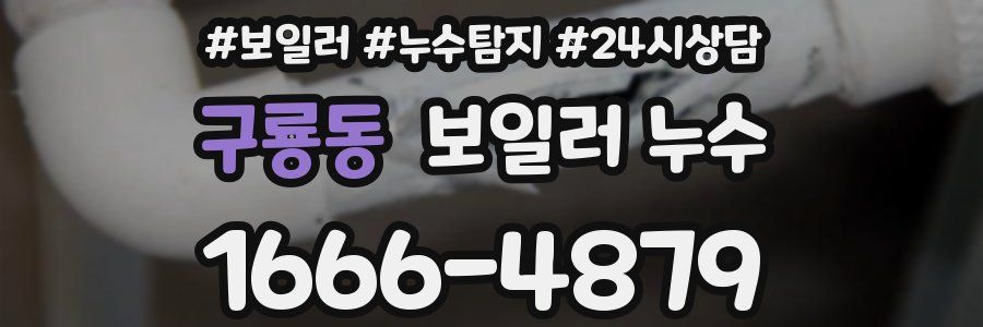 구룡동 누수탐지