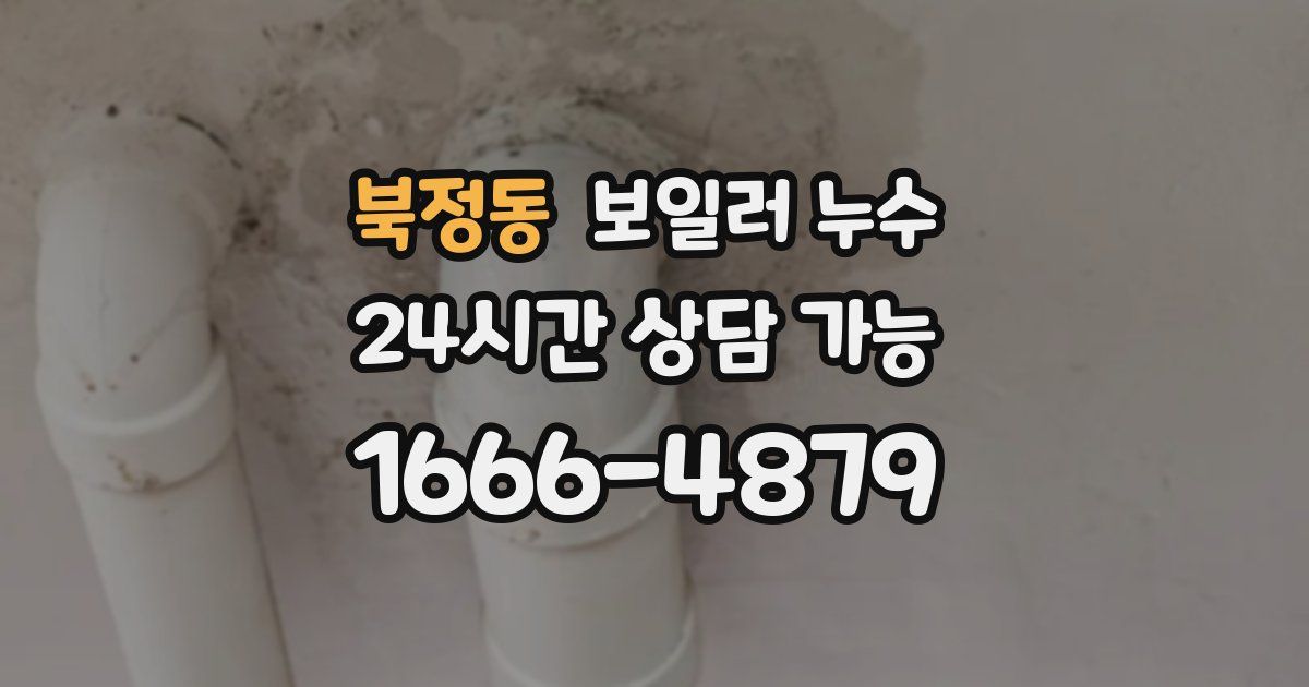 북정동 보일러 누수