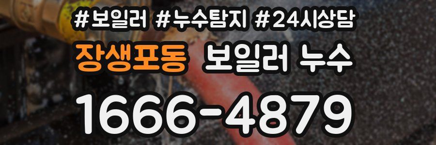 장생포동 누수탐지