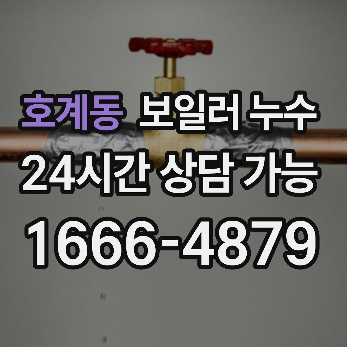 호계동 보일러 누수 장판을 뜯기 전 꼭 확인할 것