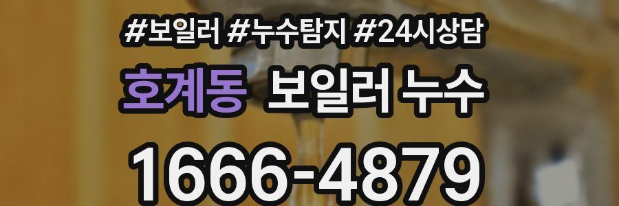 호계동 누수탐지