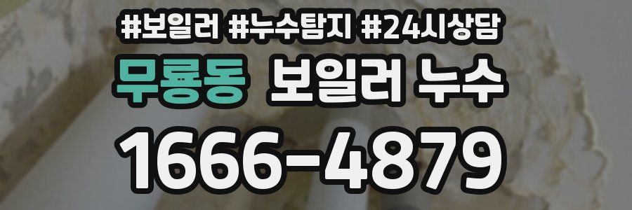 무룡동 누수탐지