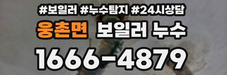 웅촌면 누수탐지