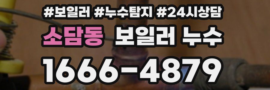 소담동 누수탐지