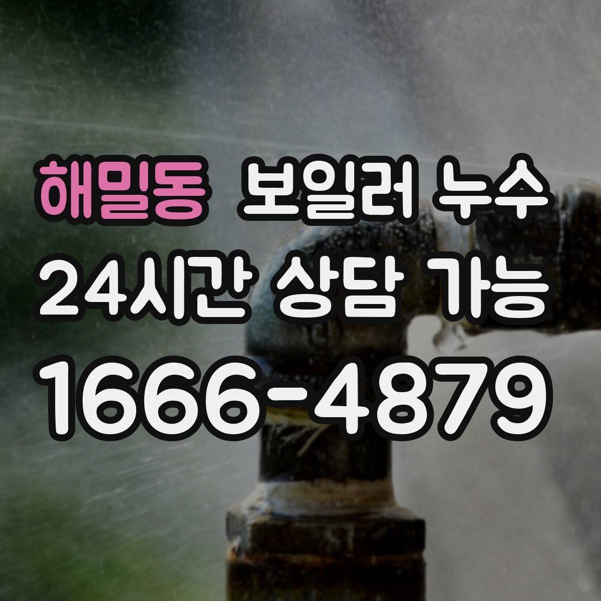 해밀동 보일러 누수 곰팡이로 번지기 전 확인해야 할 것