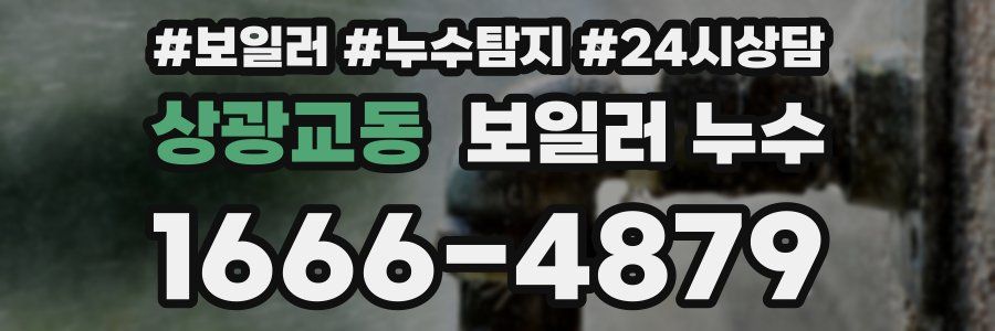 상광교동 누수탐지