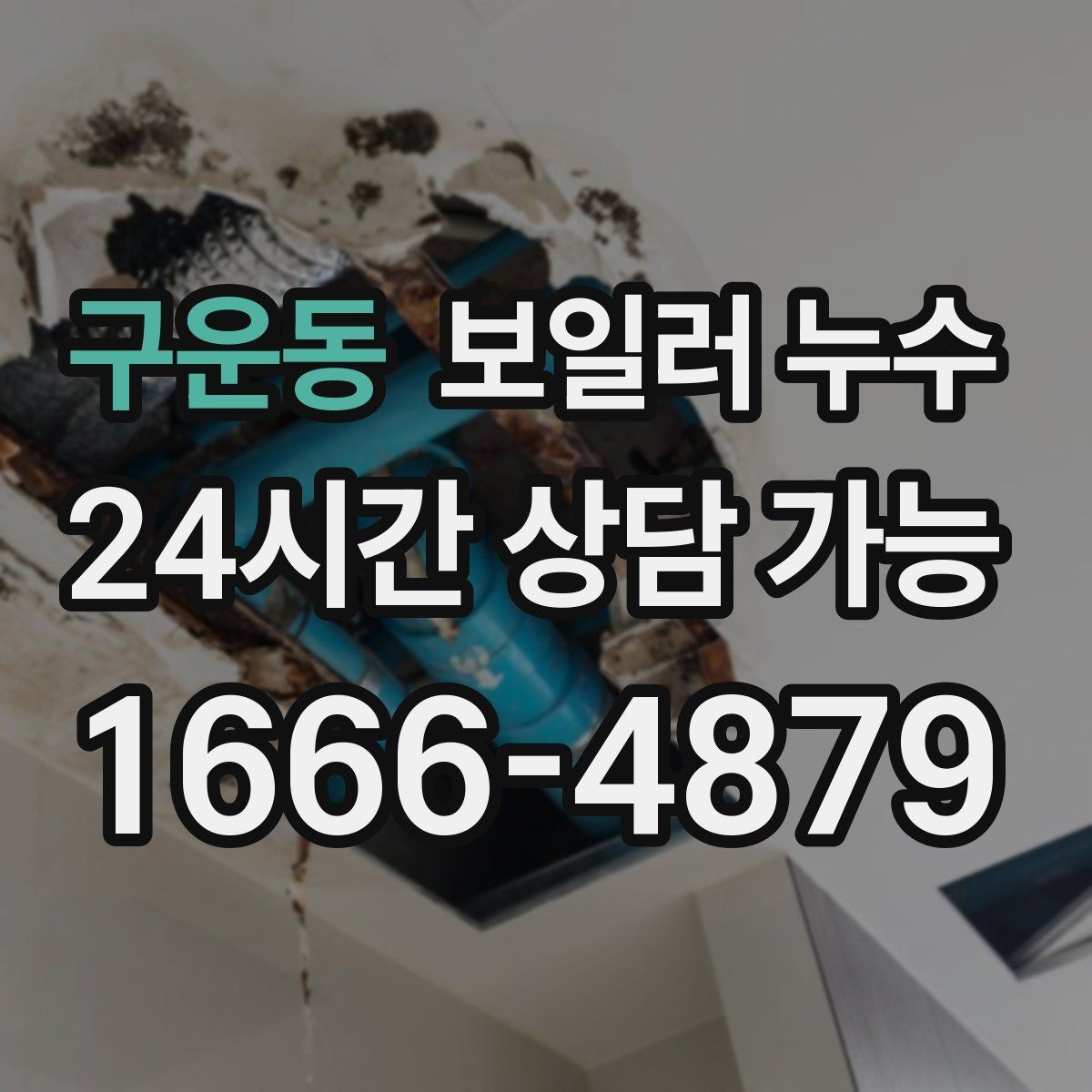 구운동 보일러 누수 재발 걱정 줄이는 점검 흐름 안내