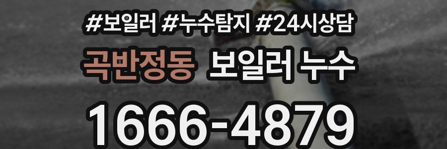 곡반정동 누수탐지