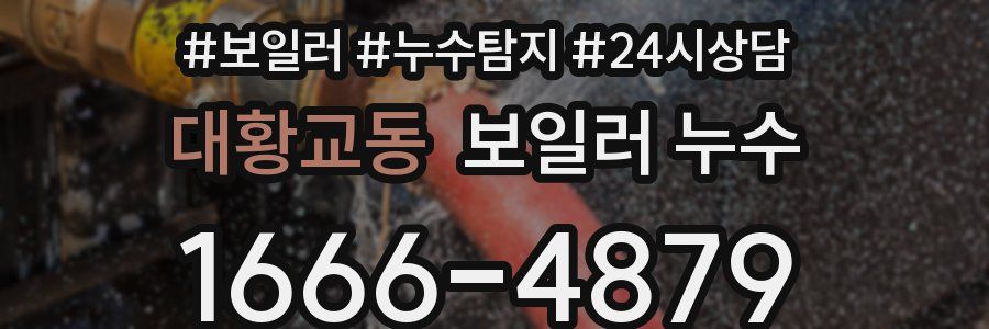 대황교동 누수탐지