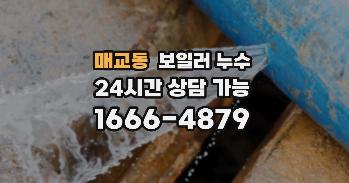 매교동 보일러 누수