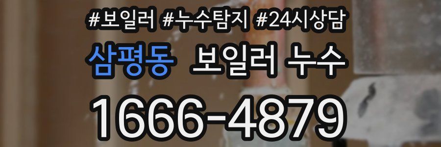 삼평동 누수탐지