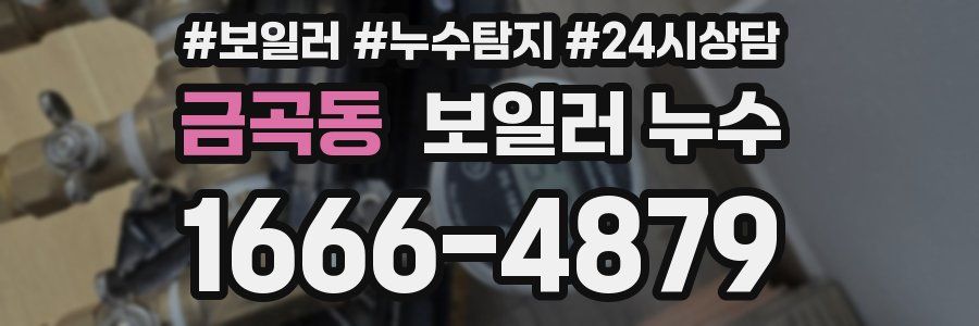 금곡동 누수탐지