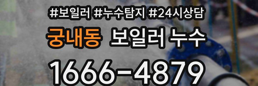 궁내동 누수탐지