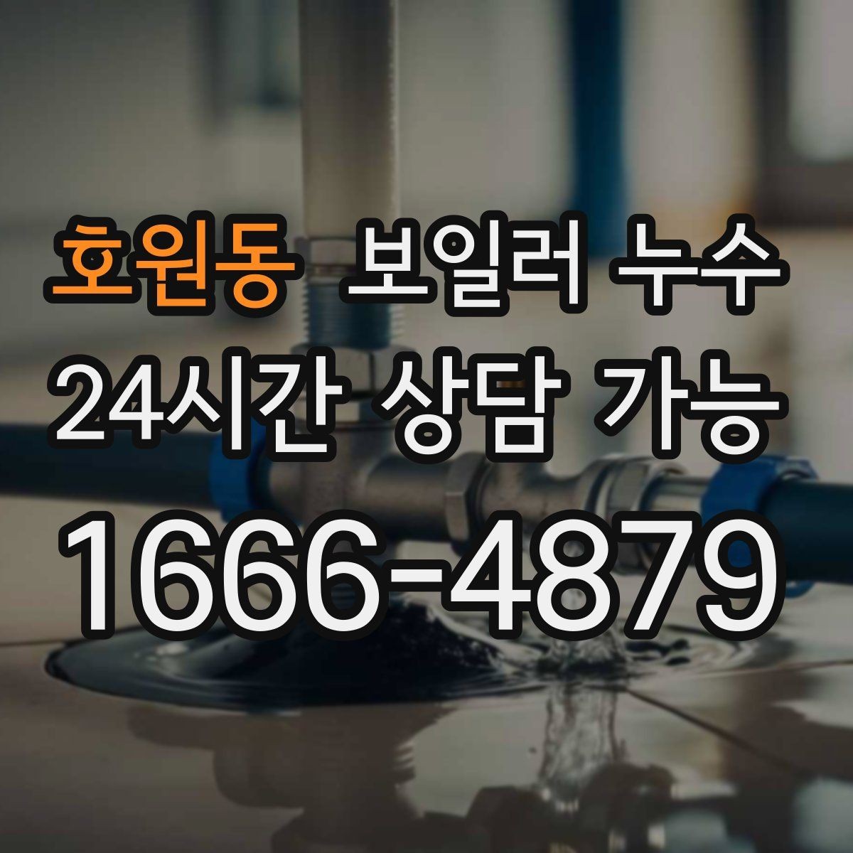 호원동 보일러 누수 특정 방만 유독 눅눅할 때 원인 범위