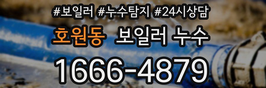호원동 누수탐지