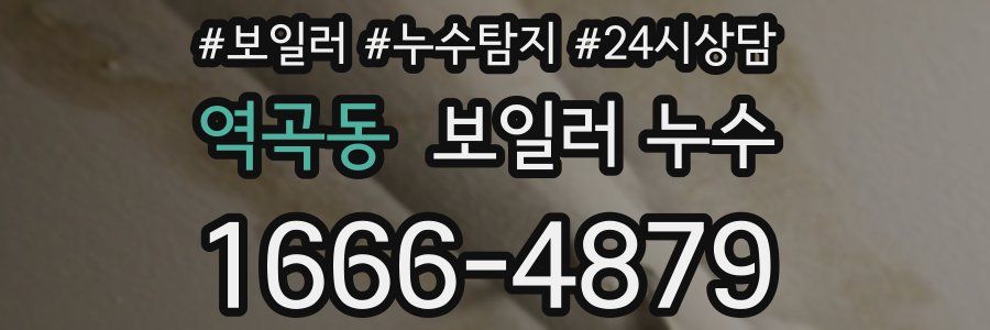 역곡동 누수탐지