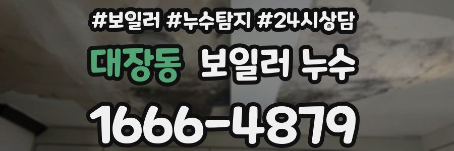 대장동 누수탐지